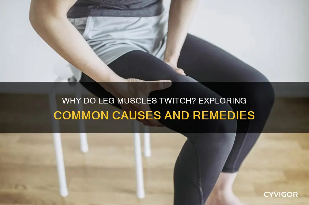 what causes leg muscles to twitch