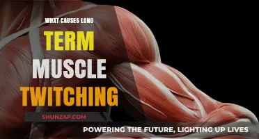 Understanding Persistent Muscle Twitching: Causes and Long-Term Implications