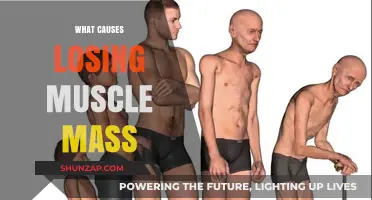 Unraveling the Causes of Muscle Mass Loss: Key Factors Explained