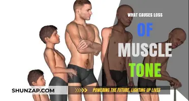 Understanding the Key Factors Behind Loss of Muscle Tone