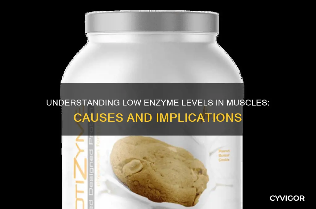 what causes low enzymes in muscles