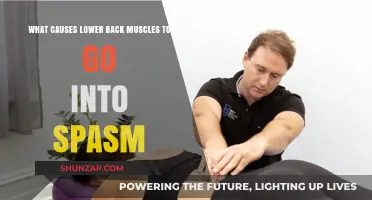 Understanding Lower Back Muscle Spasms: Causes and Triggers Explained
