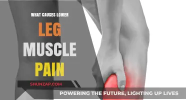 Understanding Lower Leg Muscle Pain: Common Causes and Remedies