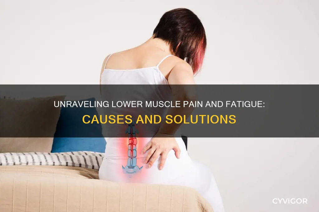 what causes lower muscle pain and fatigue