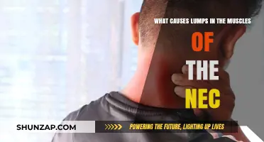 Understanding Muscle Lumps in the Neck: Causes and Concerns