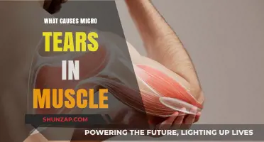 Understanding Micro Tears: Causes and Prevention in Muscle Tissue