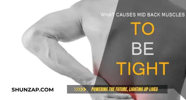 Tight Mid-Back Muscles: Causes and Prevention