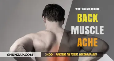 Understanding Middle Back Muscle Pain: Common Causes and Triggers