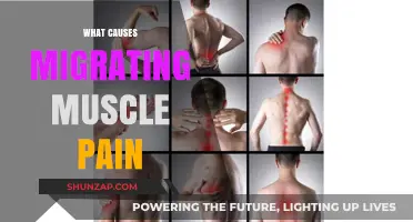 Understanding Migrating Muscle Pain: Causes and Triggers Explained