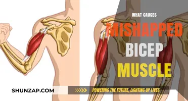 Understanding the Causes of a Mishappened Bicep Muscle