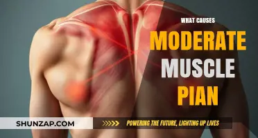 Understanding Moderate Muscle Pain: Common Causes and Effective Remedies