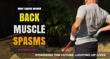 Preventing Mower-Induced Back Muscle Spasms: Causes and Solutions