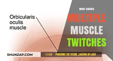 Unraveling the Mystery: What Causes Multiple Muscle Twitches?