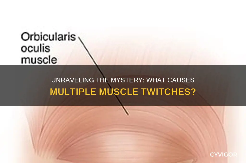 what causes multiple muscle twitches