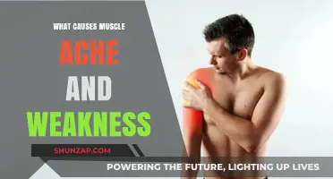 Understanding Muscle Ache and Weakness: Causes and Contributing Factors