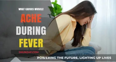 Understanding Fever-Induced Muscle Aches: Causes and Relief Strategies