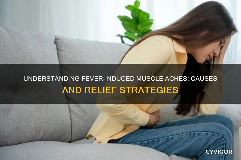 what causes muscle ache during fever