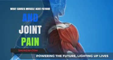 Understanding Muscle Aches, Fatigue, and Joint Pain: Common Causes Explained