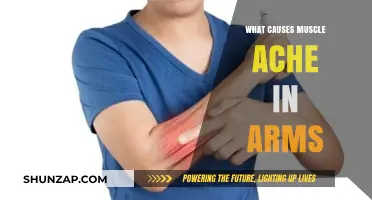 Understanding Arm Muscle Aches: Common Causes and Effective Relief Strategies