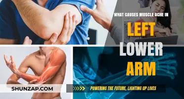 Understanding Left Lower Arm Muscle Ache: Causes and Remedies