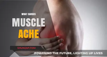 Unraveling Muscle Ache Causes: Triggers, Treatments, and Prevention Tips