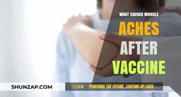 Understanding Post-Vaccination Muscle Aches: Causes and Relief Explained
