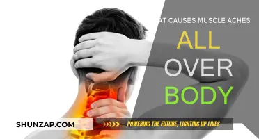 Understanding the Reasons Behind Full-Body Muscle Aches