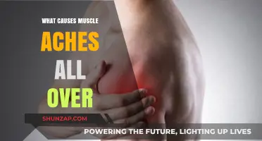 Understanding Muscle Aches: Causes of Widespread Body Pain Explained