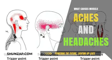 Understanding Muscle Aches and Headaches: Common Causes and Triggers