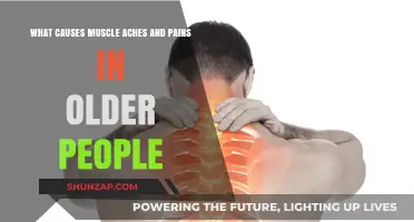 Understanding Muscle Aches and Pains in Aging Adults: Causes Explained