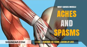 Understanding Muscle Aches and Spasms: Causes and Triggers Explained