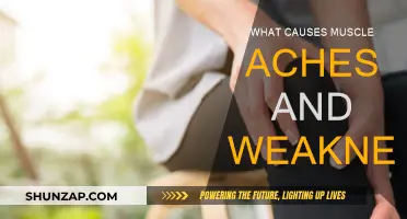 Understanding Muscle Aches and Weakness: Causes and Triggers