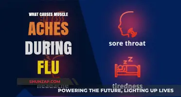 Understanding Flu-Related Muscle Aches: Causes and Relief Strategies