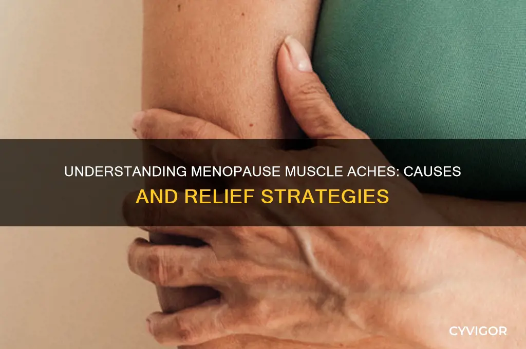 what causes muscle aches during menopause