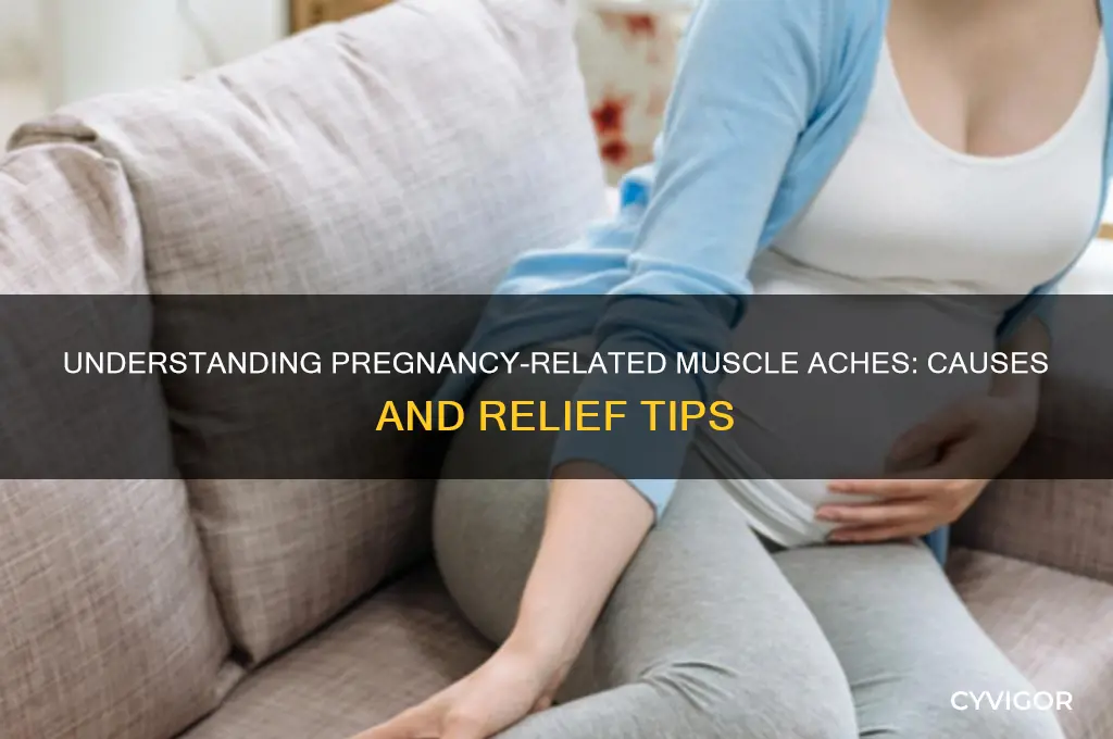 what causes muscle aches during pregnancy
