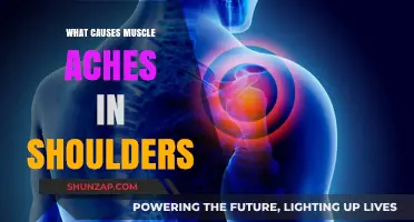 Understanding Shoulder Muscle Aches: Common Causes and Effective Relief Strategies