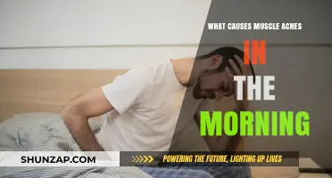 Why Do Muscles Ache in the Morning? Common Causes Explained