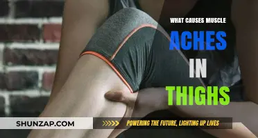 Understanding Thigh Muscle Aches: Common Causes and Effective Remedies