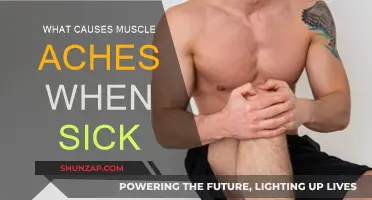 How Illnesses Trigger Muscle Aches and Pains