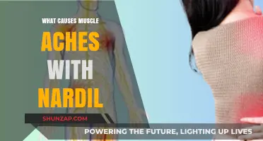 Understanding Muscle Aches: Nardil's Side Effects and Management Tips