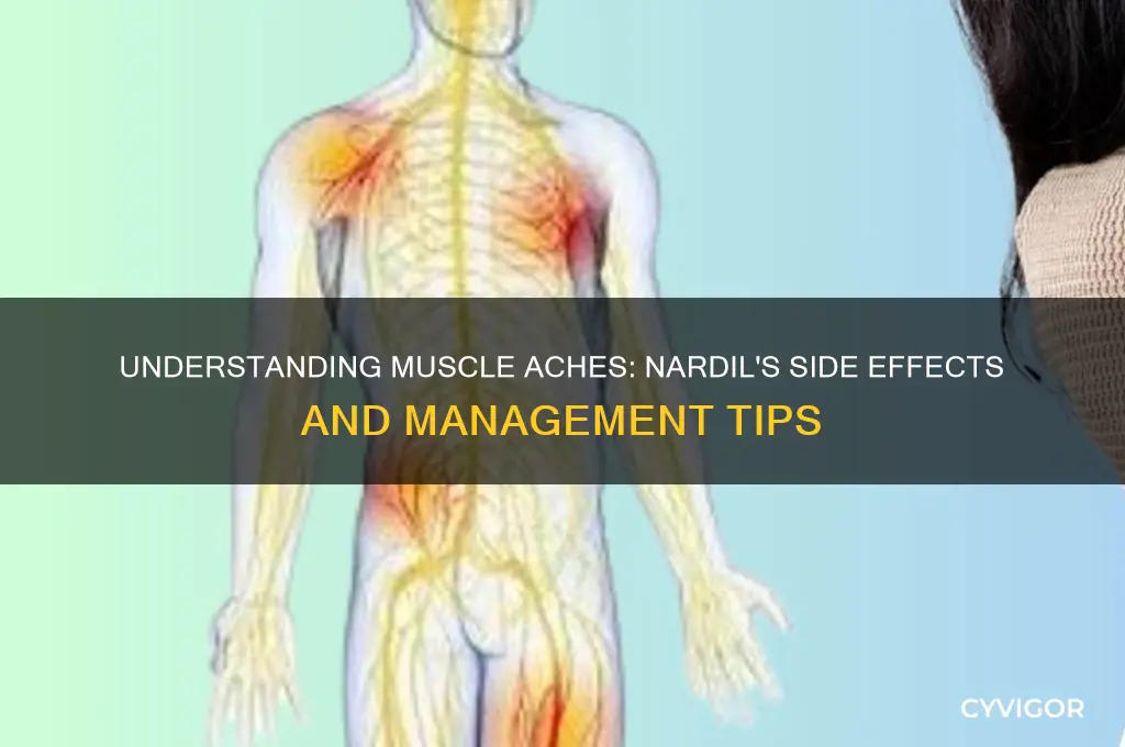 what causes muscle aches with nardil
