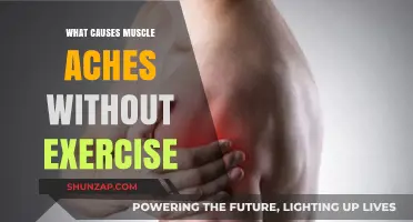 Unraveling the Mystery: Why Muscles Ache Without Physical Activity