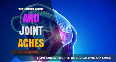 Understanding Muscle and Joint Aches: Common Causes and Triggers Explained