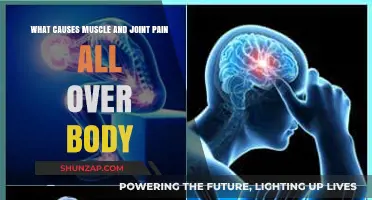 Understanding the Causes of Widespread Muscle and Joint Pain