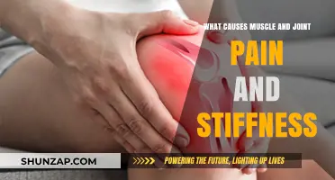 Understanding Muscle and Joint Pain: Causes and Stiffness Relief