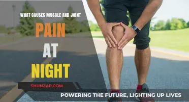 Why Muscles and Joints Ache More at Night: Causes Explained