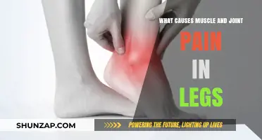 Understanding Leg Muscle and Joint Pain: Common Causes and Solutions
