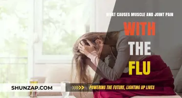 Understanding Flu-Related Muscle and Joint Pain: Causes and Relief