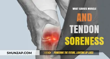 Understanding Muscle and Tendon Soreness: Causes and Prevention Tips