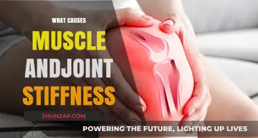 Understanding Muscle and Joint Stiffness: Causes and Contributing Factors